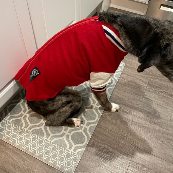 Montreal Canadians dog jacket official NHL W/ leather legs - Picture 8 of 8